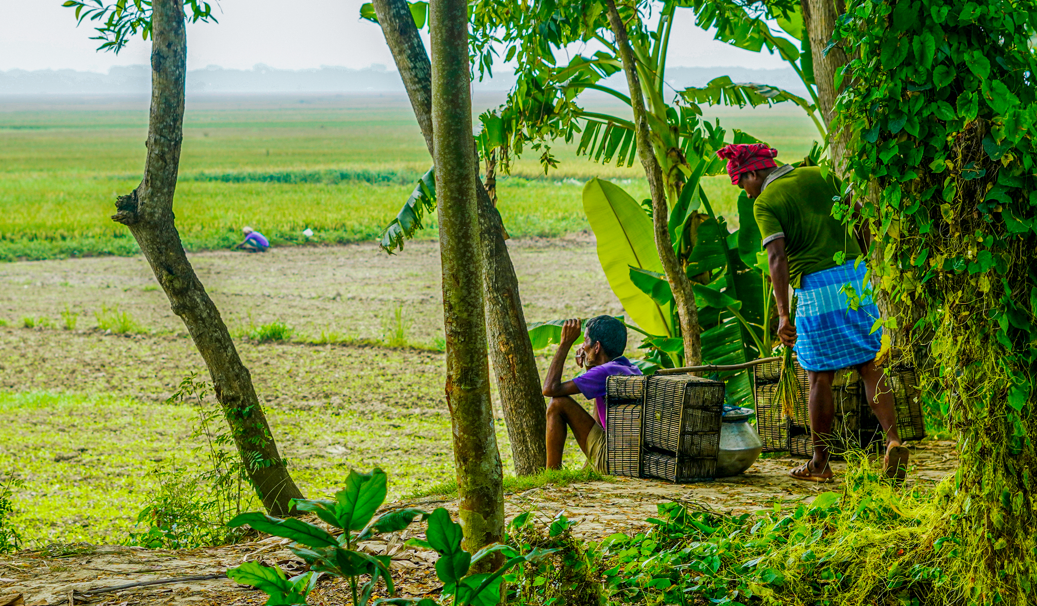 People resting beside green fields